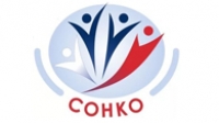 Поддержка социально ориентированных некоммерческих организаций в Николаевском муниципальном районе
