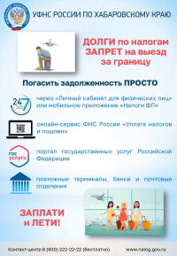 Рекомендуем перед отпуском убедиться в отсутствии налоговой задолженности